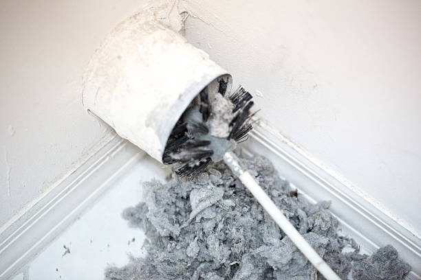 Best Duct Cleaning for Homes  in Culpeper, VA